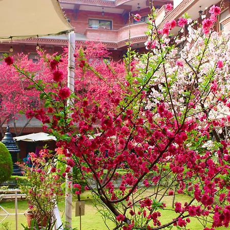 Hotel Siddhi Manakamana-3